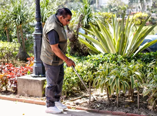 नई दिल्ली: बम निरोधक दस्ते ने दिल्ली विधानसभा में धमकी ईमेल के बाद पहुंचा