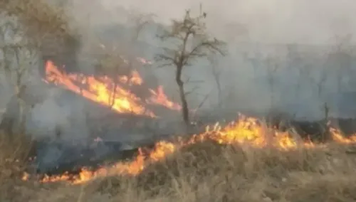 How Long Will the Firefight in Arunachal Forests Last?