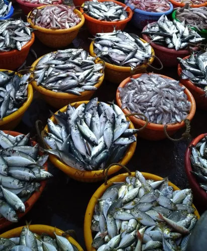 Surge in Fish Prices as Tamil Nadu Enforces 61-Day Fishing Ban