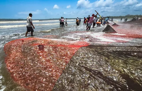 Fisheries Conclave 2026 in Bhopal aims to boost market access and returns for fish farmers