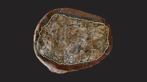 How do fossilized feces illuminate prehistoric worlds?