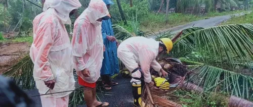 4 killed in Andhra Pradesh as rain, gusty winds cause havoc overnight