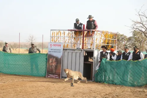 Additional Four Cheetahs to be Released Soon at Gandhi Sagar Sanctuary: MP Chief Minister