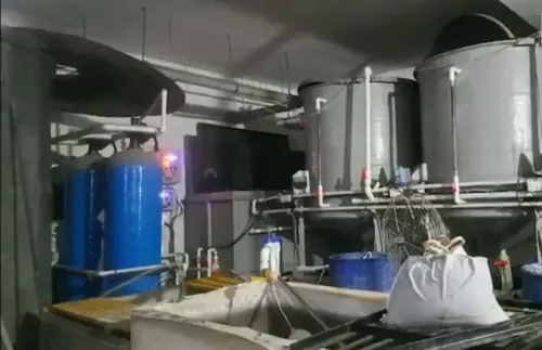 Four workers die inhaling toxic gas in Surat jewellery unit tank
