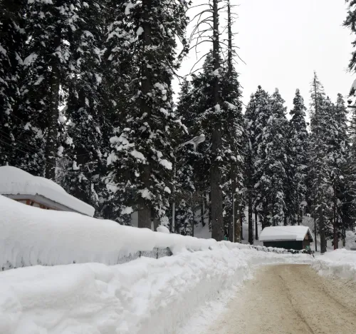 New Snowfall Hits Kashmir Valley; Anticipated from January 4-6