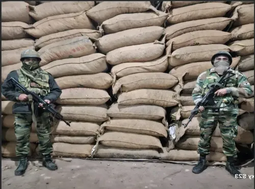 Massive Drug Haul in Tripura and Mizoram: Ganja and Contraband Worth Rs 11 Crore Seized; Four Arrested