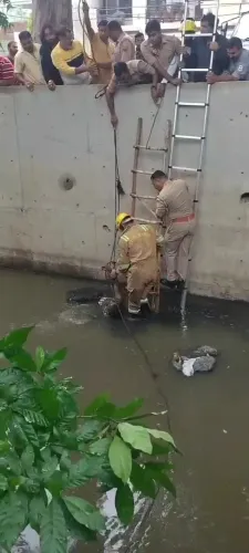 गाजियाबाद: शास्त्री नगर के नाले में फंसे 47 वर्षीय गौरव को दमकल टीम ने सुरक्षित बचाया