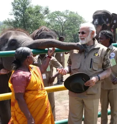India hosts 60% of world's wild Asian elephants, says PM Modi on World Elephant Day