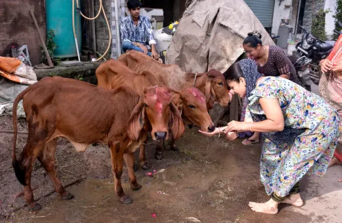 गो संरक्षण से गांवों में खुलेगा कमाई का नया रास्ता, 10 रुपये लीटर खरीदा जाएगा गोमूत्र