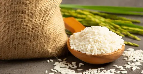 India's wild rice genetic resources get milestone conservation boost in Assam
