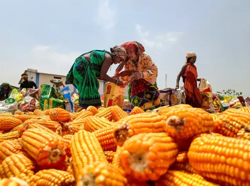 Fertiliser prices: Centre absorbs full cost burden to protect farmers, says Goyal