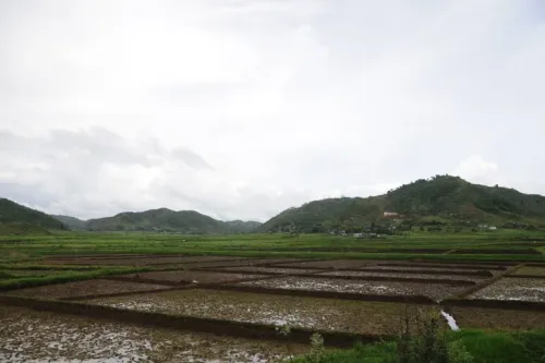 Government Allocates Rs 122 Crore to More Than 1,700 Agricultural Startups: Minister