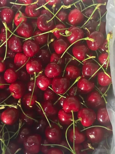Goyal flags J&K cherry, plum export to UAE markets