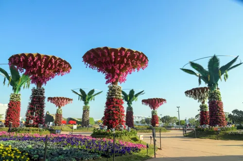 Will the Ahmedabad Flower Show 2026 Dazzle at Sabarmati Riverfront?