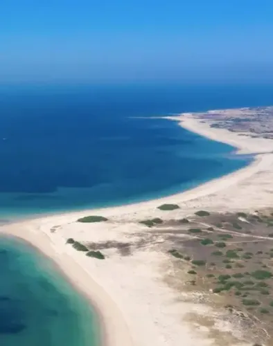 Is Gujarat’s Blue Flag Shivrajpur Beach the New Icon of Coastal Tourism?