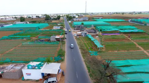 Madhi village, Mehsana: Gujarat's ₹100 crore plug nursery capital