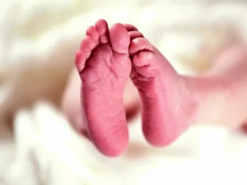 What Contributes to Gujarat's MMR of 51 per 1 Lakh Live Births, Ranking 5th Among States?