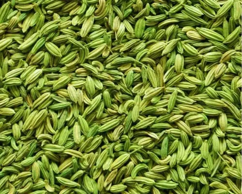 Rajasthan farmers seek revocation of Gujarat's Unjha Cumin, Fennel GI tags