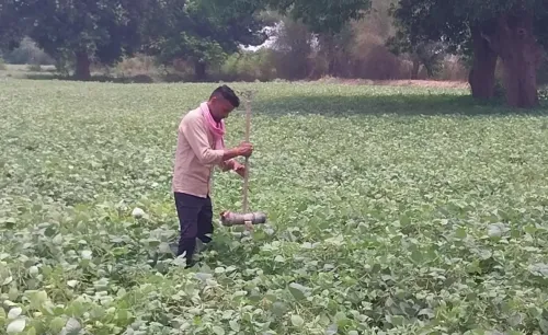 Will Gujarat Celebrate 'PM Kisan Utsav Diwas' Tomorrow?
