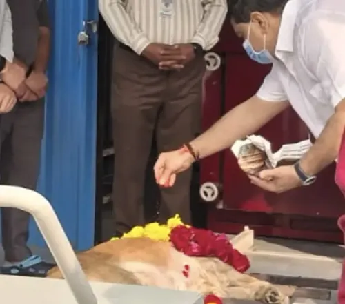 Is Gujarat’s First CNG-Powered Dog Crematorium Now Open in Ahmedabad?