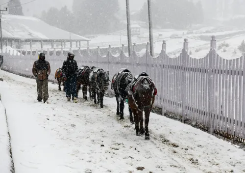 Is Gulmarg Freezing at Minus 8.8? Cold Wave Intensifies in J&K!
