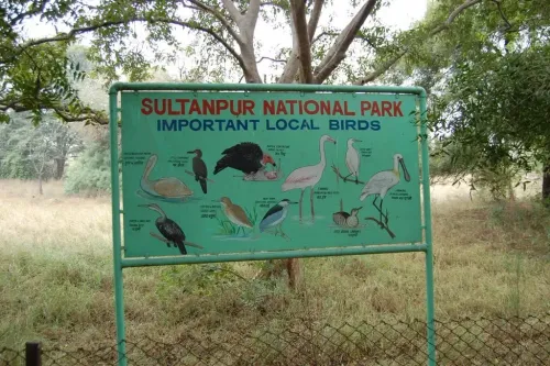 Gurugram: Wildlife Department to Issue Notices for Illegal Constructions Near Sultanpur Bird Sanctuary