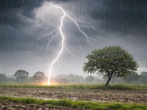 Madhya Pradesh Suffers Under Heat; Thunderstorms Expected with Lightning Fatalities