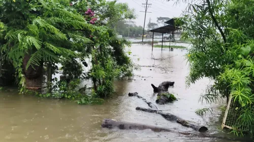 Rajgarh van swept into drain: 5 dead, 3 missing as heavy rain batters Madhya Pradesh