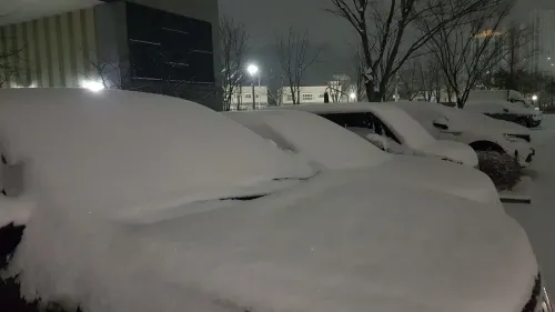 South Korea Experiences Heavy Snowfall During Lunar New Year