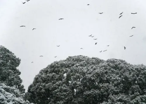 Significant Snowfall Expected Across Japan Until Tuesday