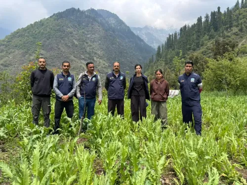 Himachal Police execute 19 preventive detention orders in drug crackdown