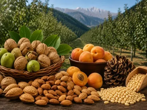 Himachal Pradesh High Value Nut Mission 2026–2031: Walnut, Almond Push to Lift Farmers