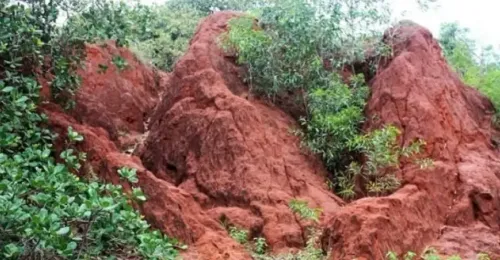 क्या भारत की 7 प्राकृतिक धरोहरें यूनेस्को द्वारा विश्व धरोहर स्थल के रूप में चुनी गई हैं?