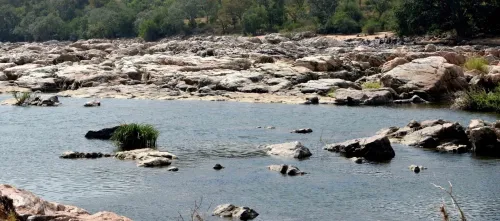कावेरी विवाद: सुप्रीम कोर्ट ने तमिलनाडु को CWMA के पास जाने की अनुमति दी, 31 अगस्त को अगली सुनवाई