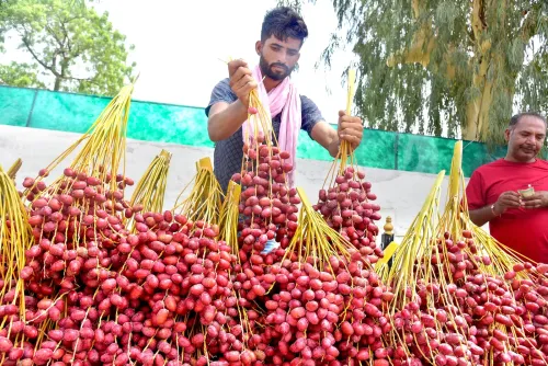 पीएम स्वनिधि योजना: 75.5 लाख से अधिक रेहड़ी-पटरी विक्रेताओं को 112 लाख लोन, ₹17,800 करोड़ वितरित