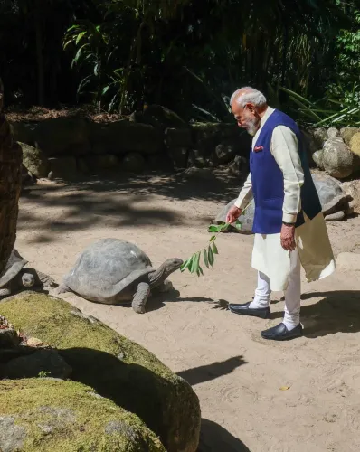 PM मोदी ने सेशेल्स बोटैनिकल गार्डन में 194 वर्षीय कछुए जोनाथन को खिलाया खाना, राष्ट्रपति हर्मिनी संग लगाया पौधा
