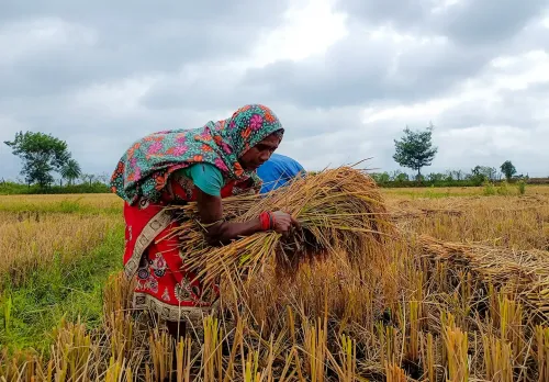 चक्रवात 'अर्नब' का राजस्थान पर असर: जयपुर समेत 5 जिलों में बारिश, तापमान 3°C तक गिरा
