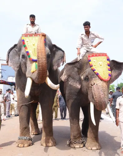 पार्वतीपुरम-मान्यम में मानव-हाथी संघर्ष रोकेंगे कुमकी हाथी जयंत और अभिमन्यु: पवन कल्याण