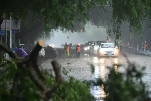 क्या वियतनाम पर मत्मो तूफान का संकट छाया है? ८ की मौत, पशुधन और फसलें प्रभावित