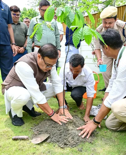 विश्व पर्यावरण दिवस पर असम में 1.02 करोड़ पौधे, महिला स्वयं सहायता समूहों ने रचा रिकॉर्ड