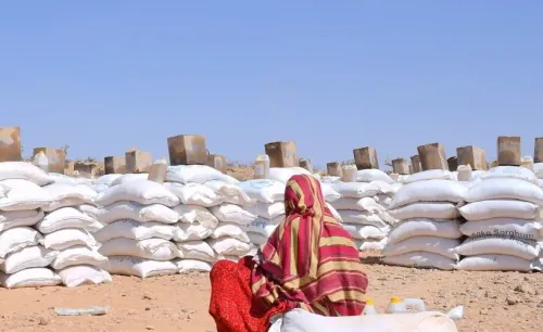Horn of Africa to Experience Above-Average Temperatures from March to May