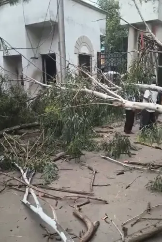 हावड़ा नगर निगम में पेड़ गिरने से दो कर्मचारियों की मौत, प्रशासन पर लापरवाही का आरोप