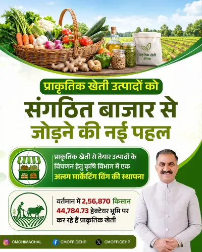 HP CM Office: 2.56 Lakh Farmers Now Under Natural Farming