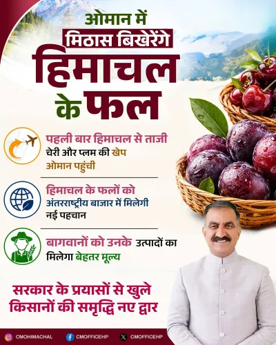 HP CM Office: Himachal Cherry, Plum Hit Oman Markets