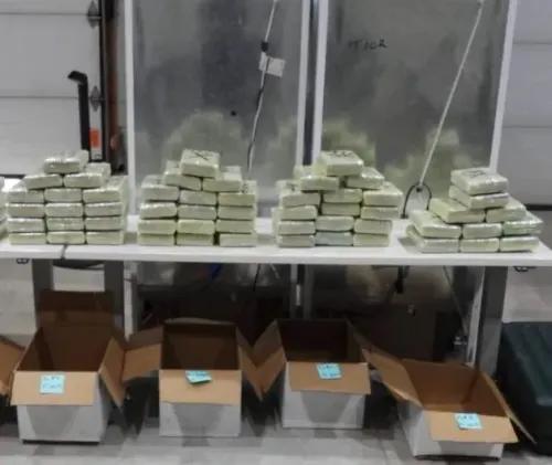 Ontario drug bust: 1.7 tonnes seized in Canada's largest crackdown
