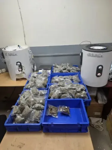 आईजीआई एयरपोर्ट पर ₹5.38 करोड़ का हाइड्रोपोनिक गांजा जब्त, कुआलालंपुर से आए दो तस्कर गिरफ्तार