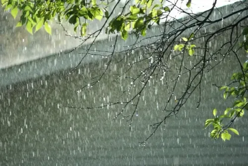 IMD Predicts Scattered Showers in Gujarat Next Week
