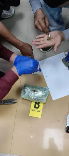 इंफाल एयरपोर्ट पर CISF ने पकड़ा 420 ग्राम गांजा, मुंबई में भी ₹2.05 करोड़ की हाइड्रोपोनिक वीड जब्त