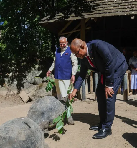 Modi in Seychelles: Aldabra Giant Tortoise's India link, Coco de Mer planting
