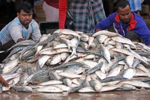 भारत का मछली उत्पादन वित्त वर्ष 2025 में 106% की वृद्धि के साथ 197.75 लाख टन पर पहुंचा